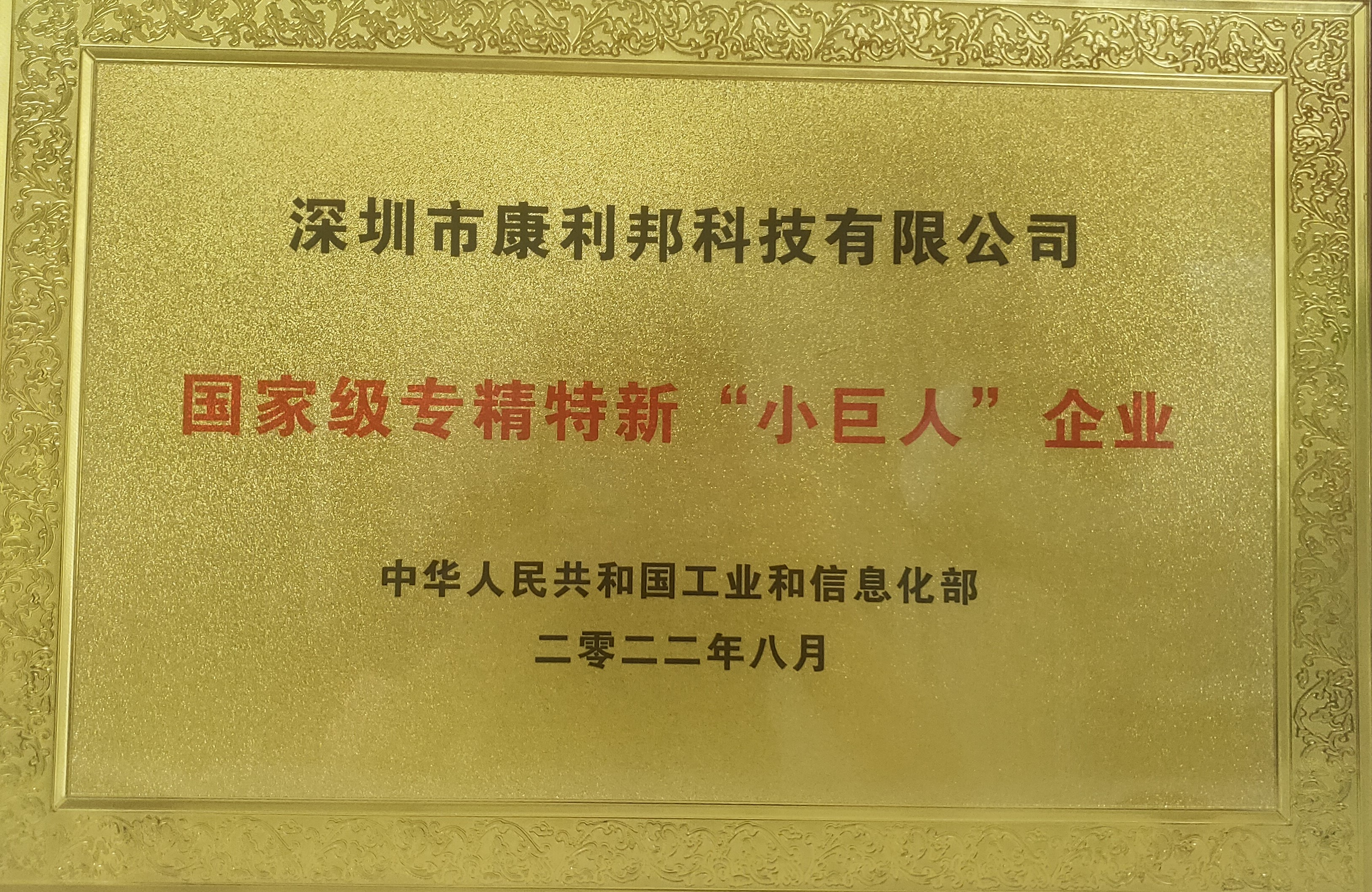 國(guó)家工信部頒發(fā)的國(guó)家級(jí)專(zhuān)精特新“小巨人”